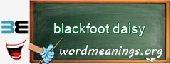 WordMeaning blackboard for blackfoot daisy
